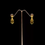 ER-2107008 - Gold Plated Coin Hoop Earrings