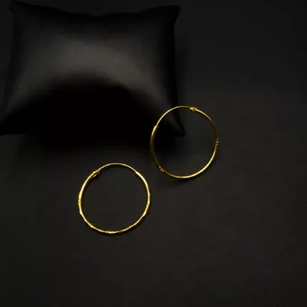 ER-2107005 - Gold Plated Twisted Hoop Earring