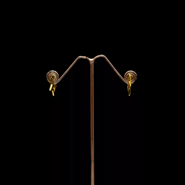 ER-2206008 - Gold Plated Star Hoop Earrings