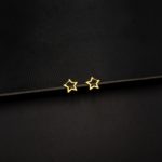 ER-2206008 - Gold Plated Star Hoop Earrings