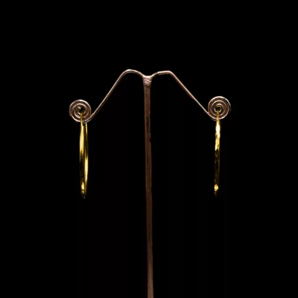 ER-2207001 - Gold Plated Hammered Everyday Hoop Earrings