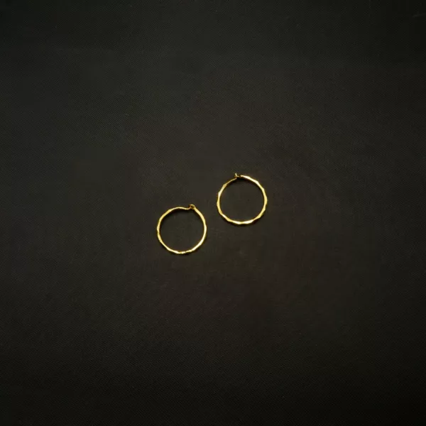 ER-2206011 - Gold Plated Hoop Earrings
