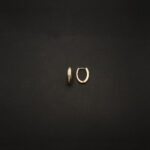 ER-2212042 - American Diamond Studded Oval Hoop Earrings