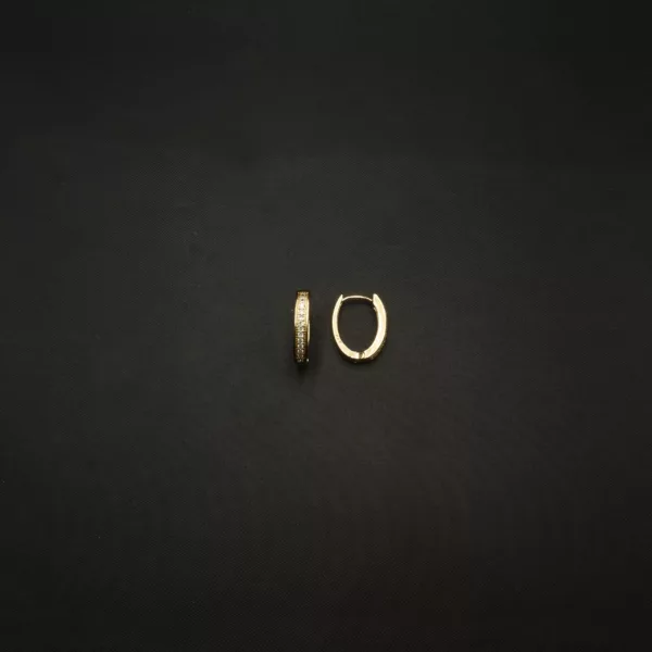 ER-2212042 - American Diamond Studded Oval Hoop Earrings