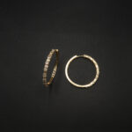 ER-2212044 - American Diamond Studded Contemporary Statement Hoop Earrings