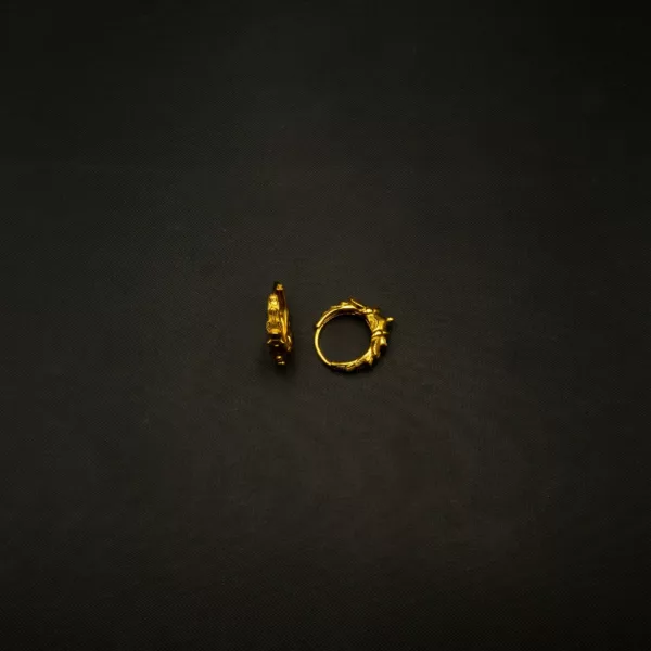 ER-2301001 - Gold Plated Contemporary Hoop Earrings