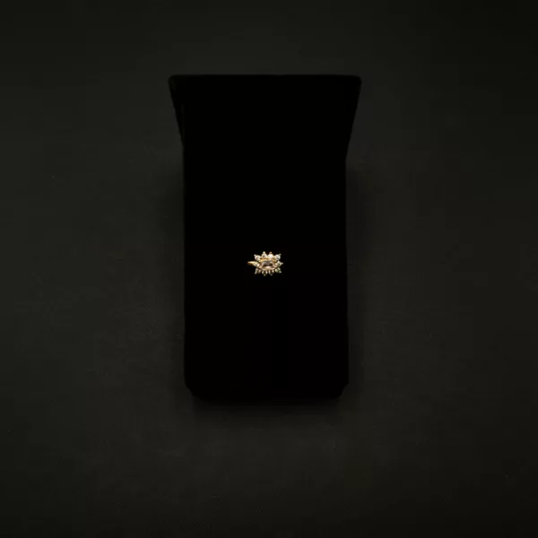 NP-2303004 - American Diamond Nose Pin