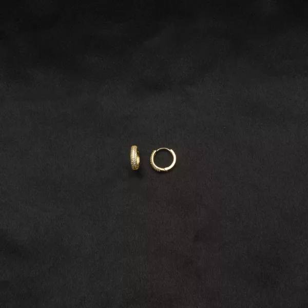 ER-2310002 - Hoop Elegance Gold Plated American Diamond Contemporary Hoops