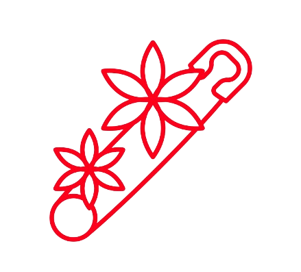 Brooches icon