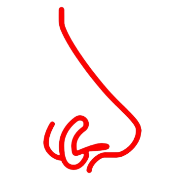 Rings icon