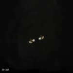 ER-261 - Nature Inspired Graceful Gold Plated American Diamond and Pearl Earrings